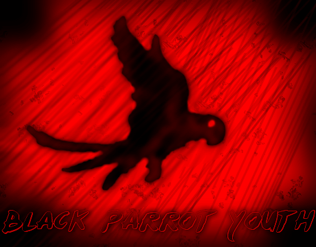 Black Parrot Youth | Black parrot banner